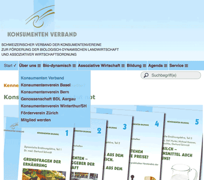 Screenshot von www.konsumentenverband.ch auf dem iPhone