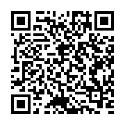 QR Code dieser Seite