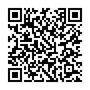 QR Code dieser Seite