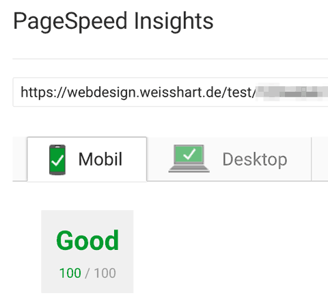 100 von 100 bei PageSpeed Insights