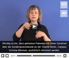 barrierefreier Video Player