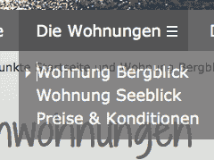 Ausschnitt aus einem Dropdown-Menü