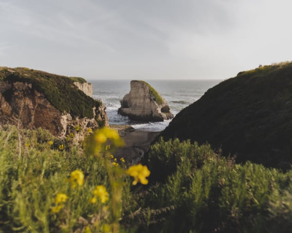 Santa Cruz, United States: Blick über eine Wiese zu einer Steilküste